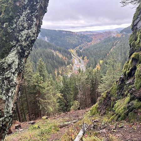 Ferienwohnung Tannenblick 2-1 Oberhof  Exteriör bild