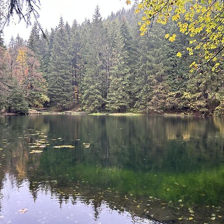 Ferienwohnung Tannenblick 2-1 Oberhof  Exteriör bild