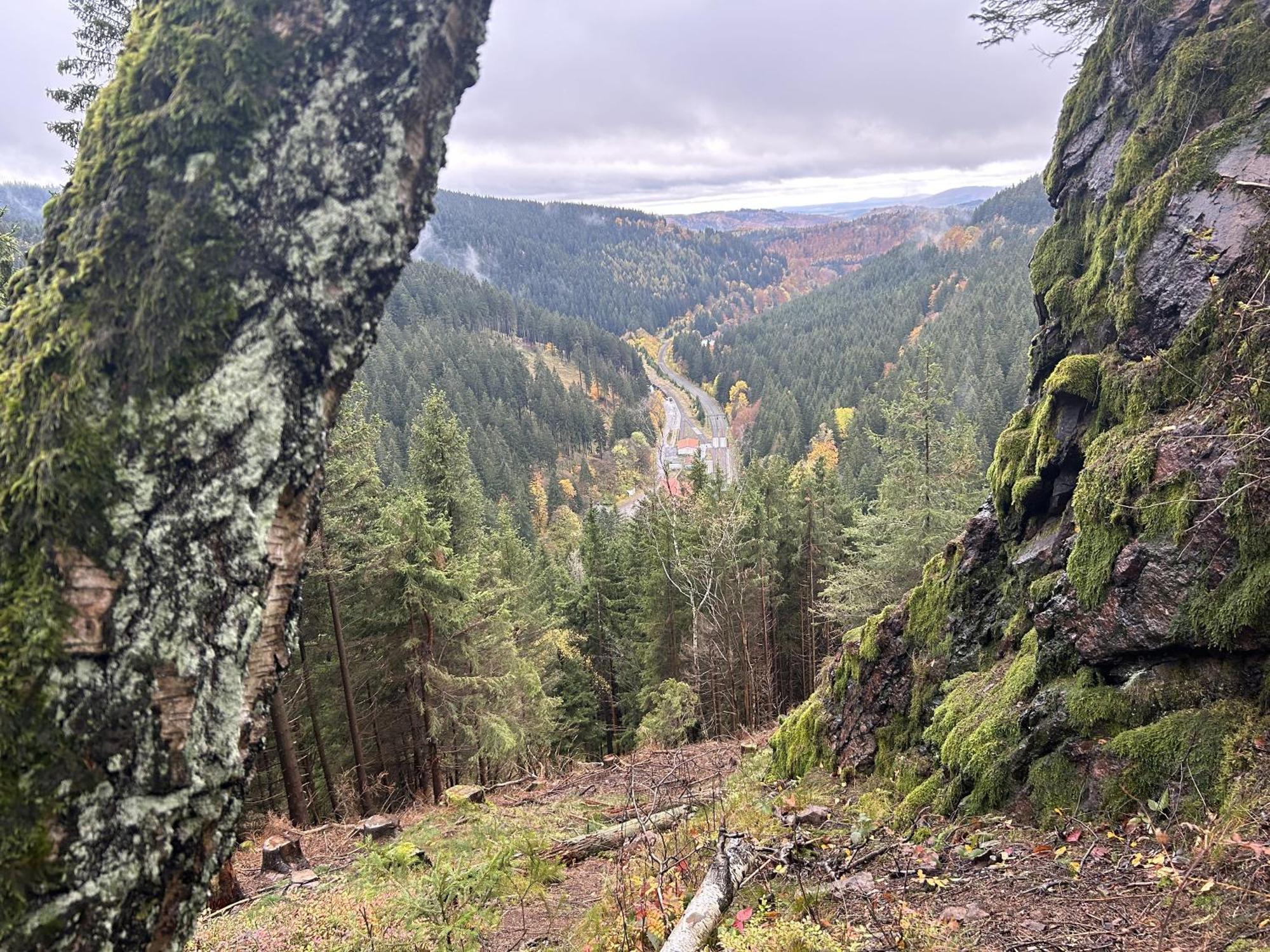 Ferienwohnung Tannenblick 2-1 Oberhof  Exteriör bild