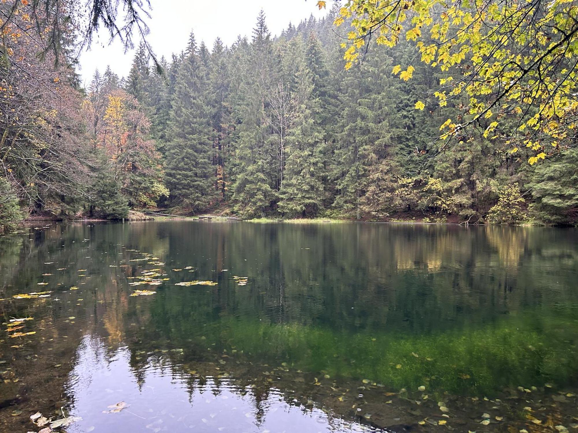 Ferienwohnung Tannenblick 2-1 Oberhof  Exteriör bild