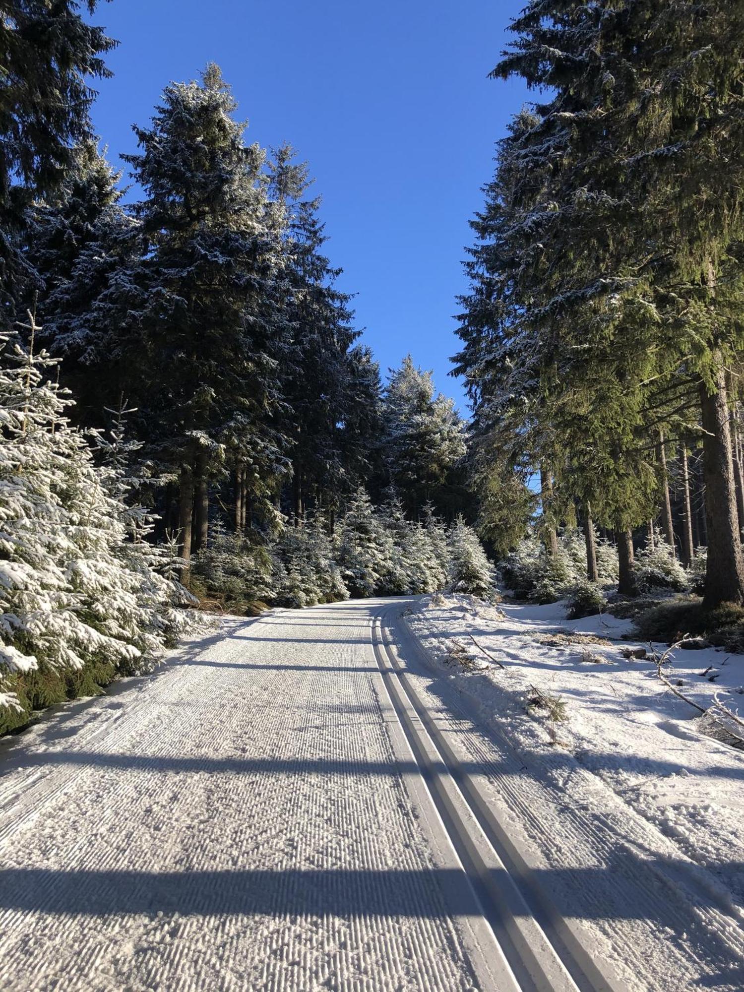 Ferienwohnung Tannenblick 2-1 Oberhof  Exteriör bild